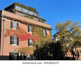 Ivy on a historic building in Boston begins to turn red on a sunny autumn day while surrounded by a tree with fall colors - Powered by Shutterstock