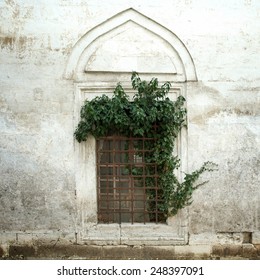 Ivy On An Old Window And Wall Photo Background For Design Work