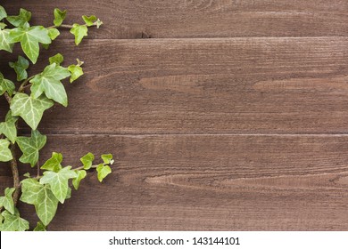 Ivy on the wood textured backgrounds