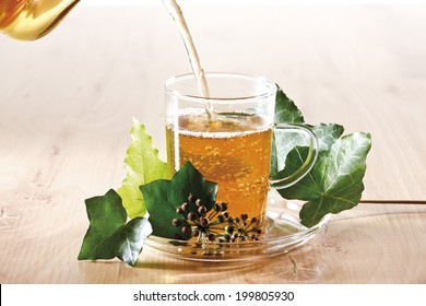 Ivy Tea (Hedera Helix)