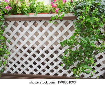 643 Ivy trellis Images, Stock Photos & Vectors | Shutterstock