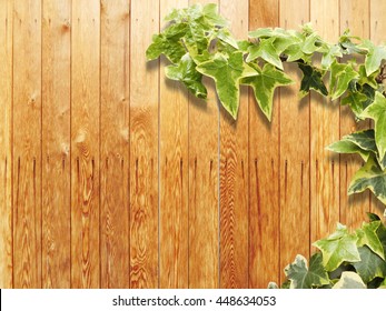 ivy wood background - Shutterstock ID 448634053
