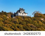 Iwakuni castle, iwakuni, yamaguchi prefecture, honshu, japan, asia