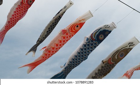 573 Sakura Carp Stock Photos, Images & Photography | Shutterstock