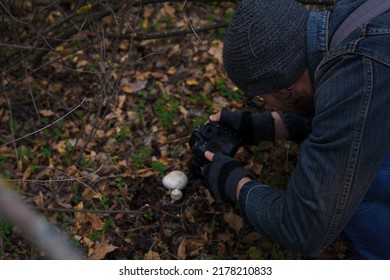 Izmail, Ukraine. October 2020. Man Making Photo Of Tiny Mushroom In Forest Using Camera And Flash Light. Macro World Photography, Nature Landscape.