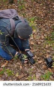 Izmail, Ukraine. October 2020. Unrecognizable Man Making Photo Of Tiny Mushroom In Forest Using Camera And Flash Light. Macro World Photography, Nature Landscape.