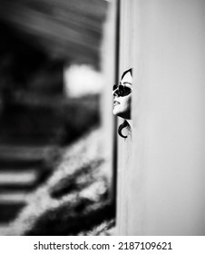 Izmir, Turkey, 15 July 2022; A Young Woman Is Looking Out The Window. Loneliness Theme, Quarantined Person Inside. He Avoids Social Contact. Black And White Photo.