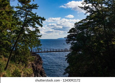 Izu Jogasaki Coast