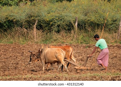 3,070 Subsistence agriculture Images, Stock Photos & Vectors | Shutterstock