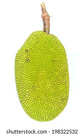 Jack Fruit Isolated On White Background