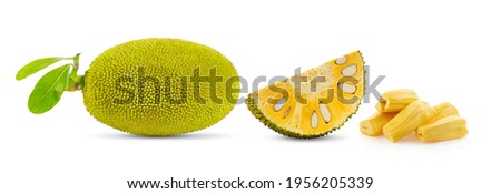 jack fruits isolated on white background