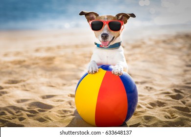 jack russel dog  at the beach ocean shore, on summer vacation holidays  with a plastic ball - Powered by Shutterstock