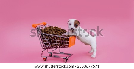 Jack russel dog pushing shopping cart with dog food against on pink isolated background for purchase pet food product concept for advertising