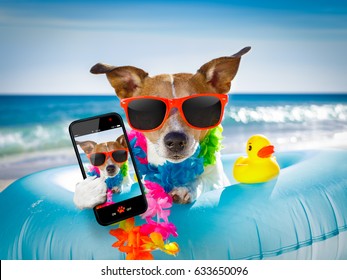 Jack Russel Dog Resting And Relaxing On A Air Mattress Or Swim Ring   At The Beach Ocean Shore, On Summer Vacation Holidays Taking A Selfie With Smartphone Or Mobile Phone