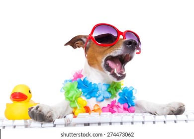 Dog On Keyboard Images Stock Photos Vectors Shutterstock