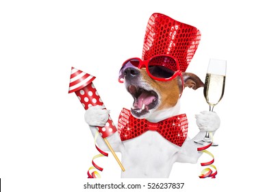 jack russell dog celebrating new years eve with champagne  glass and singing out loud, with a fireworks rocket , isolated on white background