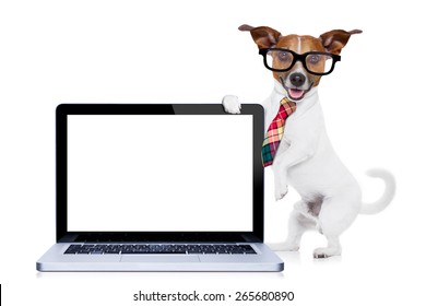 Jack Russell Dog Office Worker With Tie, Black Glasses Holding A Tablet Pc Computer Laptop,  Isolated On White Background