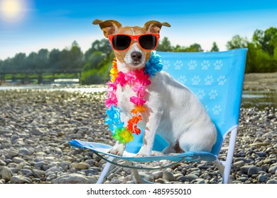 1,794 Dog beach chair Images, Stock Photos & Vectors | Shutterstock