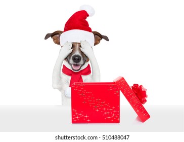 Jack Russell Dog With Red  Christmas Santa Claus Hat  For Xmas Holiday Hiding With Closed Eyes ,excited And Surprised For The Gift Or Present Box