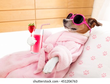 jack russell dog relaxing  and lying, in   spa wellness center ,getting a facial treatment with  moisturizing cream mask and cucumber, drinking a cocktail milkshake smoothie