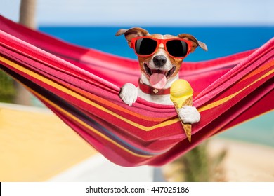 jack russell dog relaxing on a fancy red  hammock  or lounger  with  cold vanilla ice cream ,  on summer vacation holidays at the beach