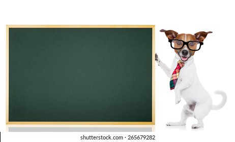 Teachers Pet High Res Stock Images Shutterstock
