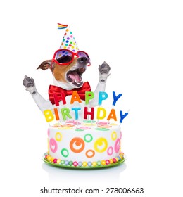 Jack Russell Dog Surprise Singing Birthday Stock Photo Edit Now