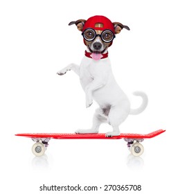 jack russell skater dog with red cap ready to play, balancing on red  skateboard, isolated on white background