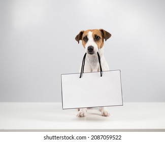 Jack Russell Terrier Dog Holding A Paper Bag On A White Background. Shopping.