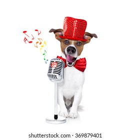 Jack Russell Terrier Dog Isolated On White Background Singing With Microphone A Karaoke Song In A Night Club