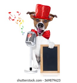 Jack Russell Terrier Dog Isolated On White Background Singing With Microphone A Karaoke Song In A Night Club Behind Placard Or Banner
