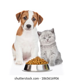 can i feed my little dog cat food