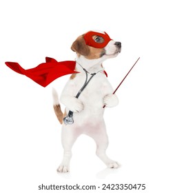 jack russell terrier wearing like a doctor with superhero cape and with stethoscope on his neck points away on empty space. Isolated on white background