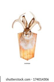 The Jackalope Is A Mythical Animal Of North American Folklore Jackalope Head Mount (a  Humorous Joke By A Taxidermist Using Both A Jackrabbit And Antlers From A Deer) Isolated On White Background