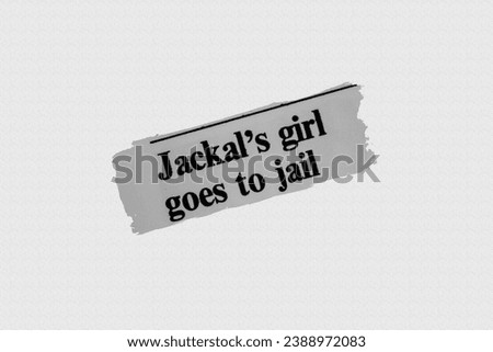 Jackal's girl goes to jail - news story from 1975 UK newspaper headline article title