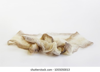 Jacket Cast-off Skin Of Snake Royal Python On A White Background.