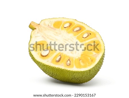 Jackfruit cut in half isolated on white background. Clipping path.