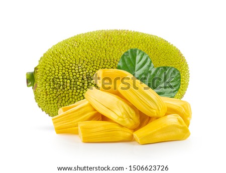 jackfruit isolated on white background