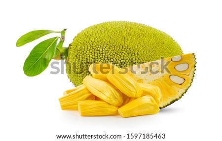 Jackfruit with isolated on white background 