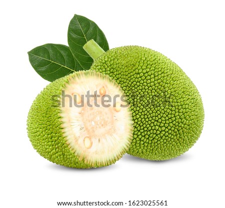 Jackfruit isolated on white background