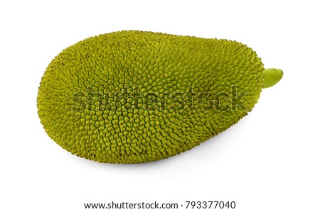 Jackfruit isolated on white background
