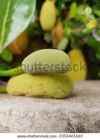 Jackfruit or Kanoon Closeup