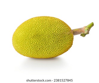 jackfruit with leaf isolated on white background 