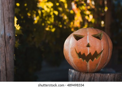 Jacko Lantern Outdoors Eve Halloween Stock Photo 489498334 | Shutterstock