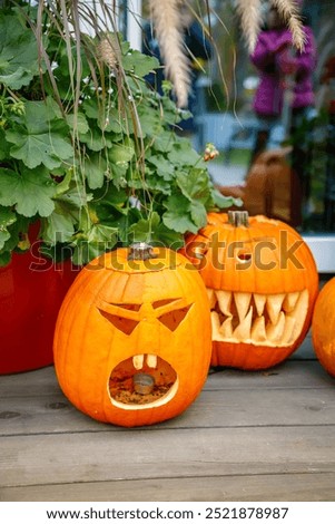 Jack-o'-lanterns with various facial features, including triangular eyes and intricate designs, part of a festive autumn scene