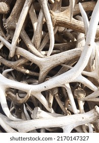 Jackson Hole, WY Antler Arch 