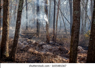 Jackson, NJ / USA - February 22 2020: Smoldering smoke rising from the forest bordering on the New Jersey Pine Barrens after a fire for a controlled burn along Route 528 in Jackson, NJ.