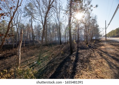 Jackson, NJ / USA - February 22 2020: Smoldering Smoke Rising From The Forest Bordering On The New Jersey Pine Barrens After A Fire For A Controlled Burn Along Route 528 In Jackson, NJ.