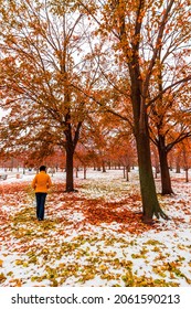 Jackson Park Of Chicago View In Winter