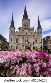 Jackson Square 